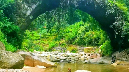 赣西避暑纳凉好去处:萍乡万龙山大王庙,一处未开发处女地,原生态风光养眼养心养肺.哔哩哔哩bilibili