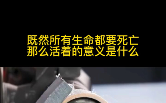 既然所有生命都要死亡那么活着的意义是什么?