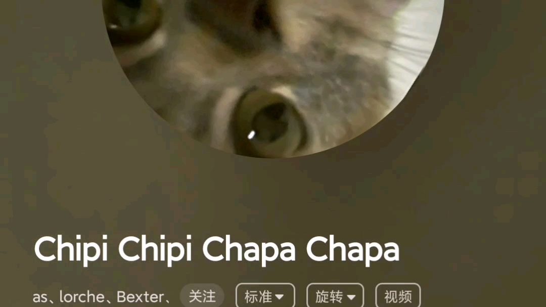 好听洗脑的 (chⅰpi chipⅰ Chapa chapa)