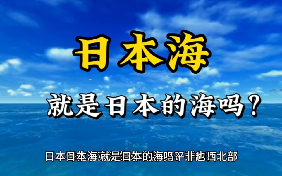 日本海,就是日本的海吗?非也!哔哩哔哩bilibili