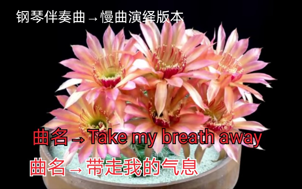 [图]【钢琴】【钢琴伴奏曲→慢节奏曲调版本】【曲名 Take my breath away→带走我的气息】电影[Top Gun→壮志凌云]主题曲