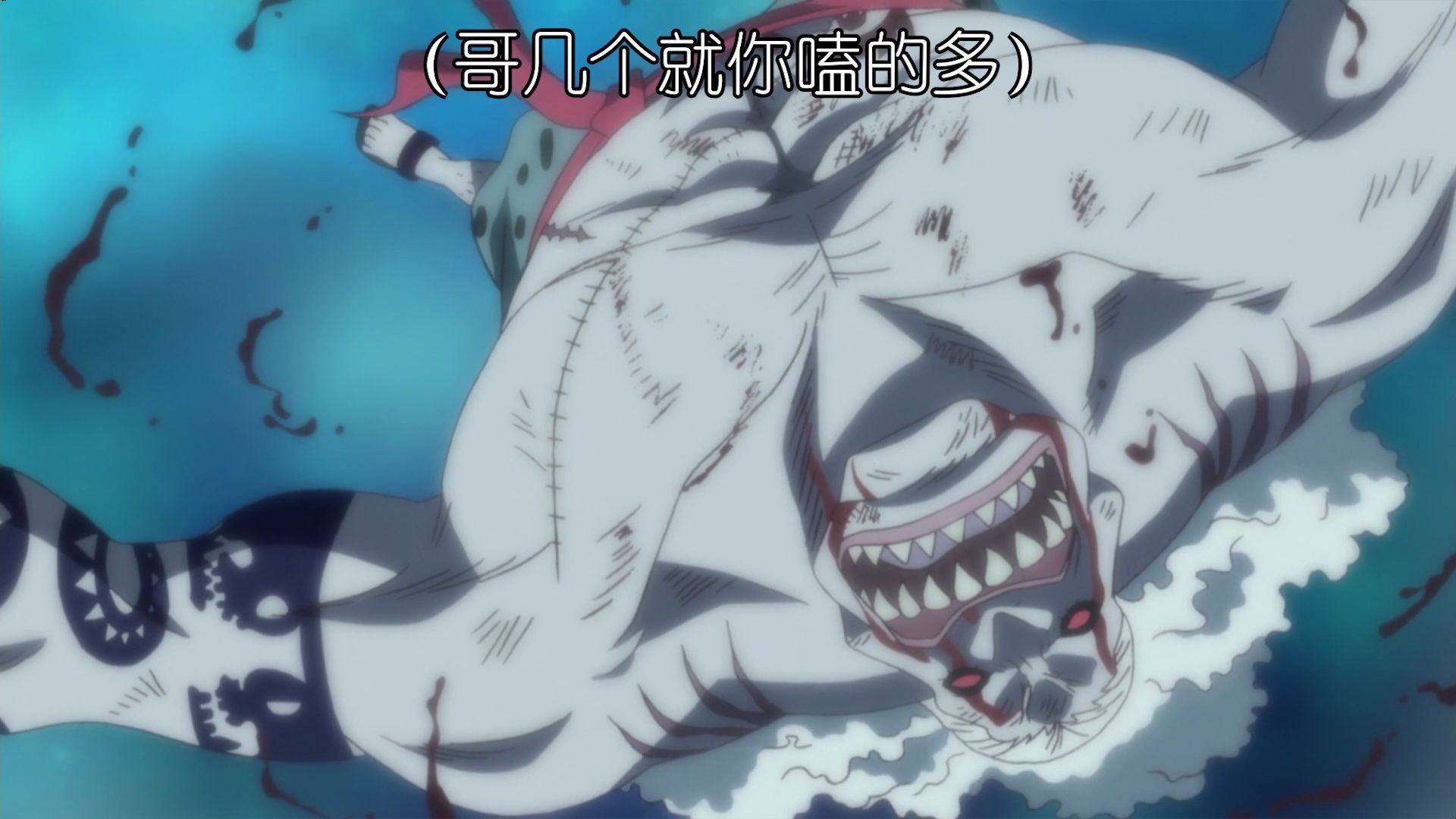 【鱼人岛篇】草帽团vs嗑药团,看个乐子