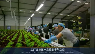 “大熊猫是我们的，冰墩墩白给也不要！”韩网掀起新一轮造谣狂潮