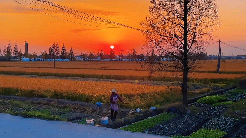 [图]“老家真是一个治愈的地方呐”