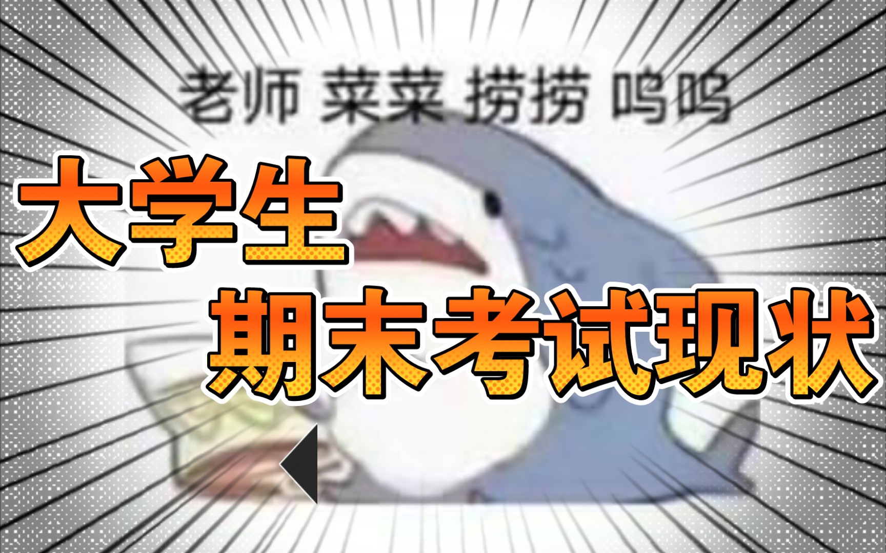 期末求捞老师您是什么意思