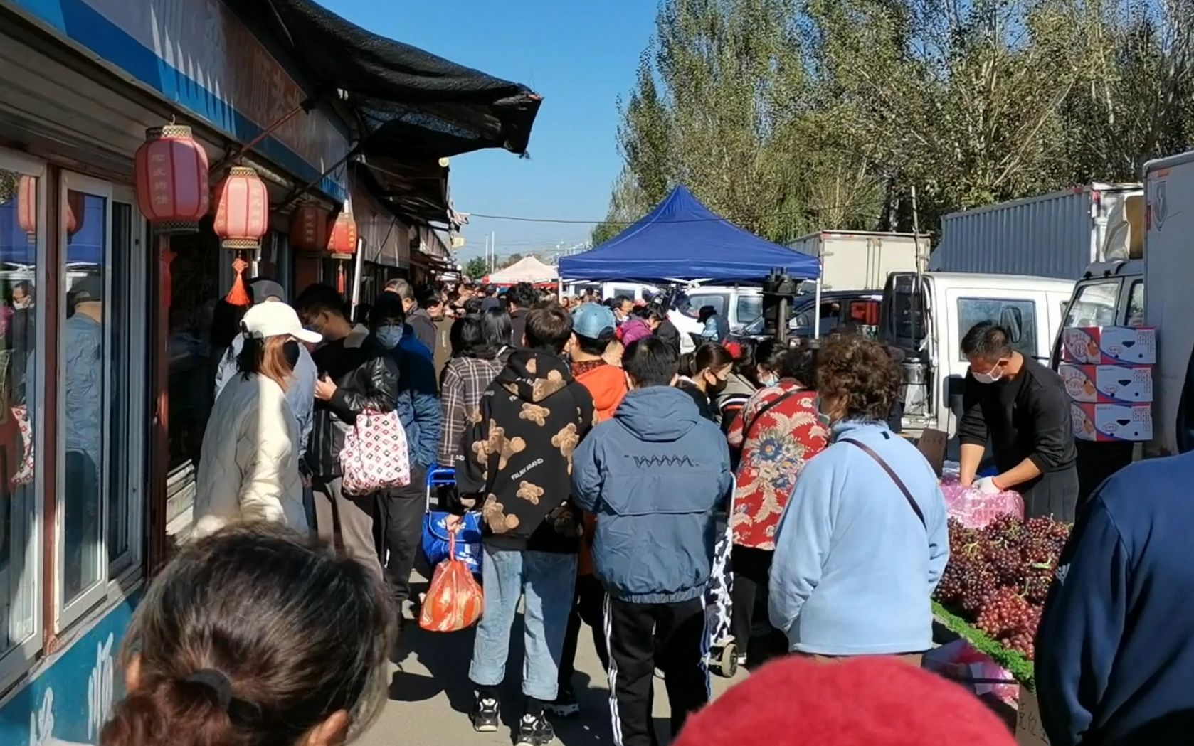 逛沈阳于洪造化大集,东北秋菜大量上市价格暴涨,今年这菜还屯不哔哩哔哩bilibili