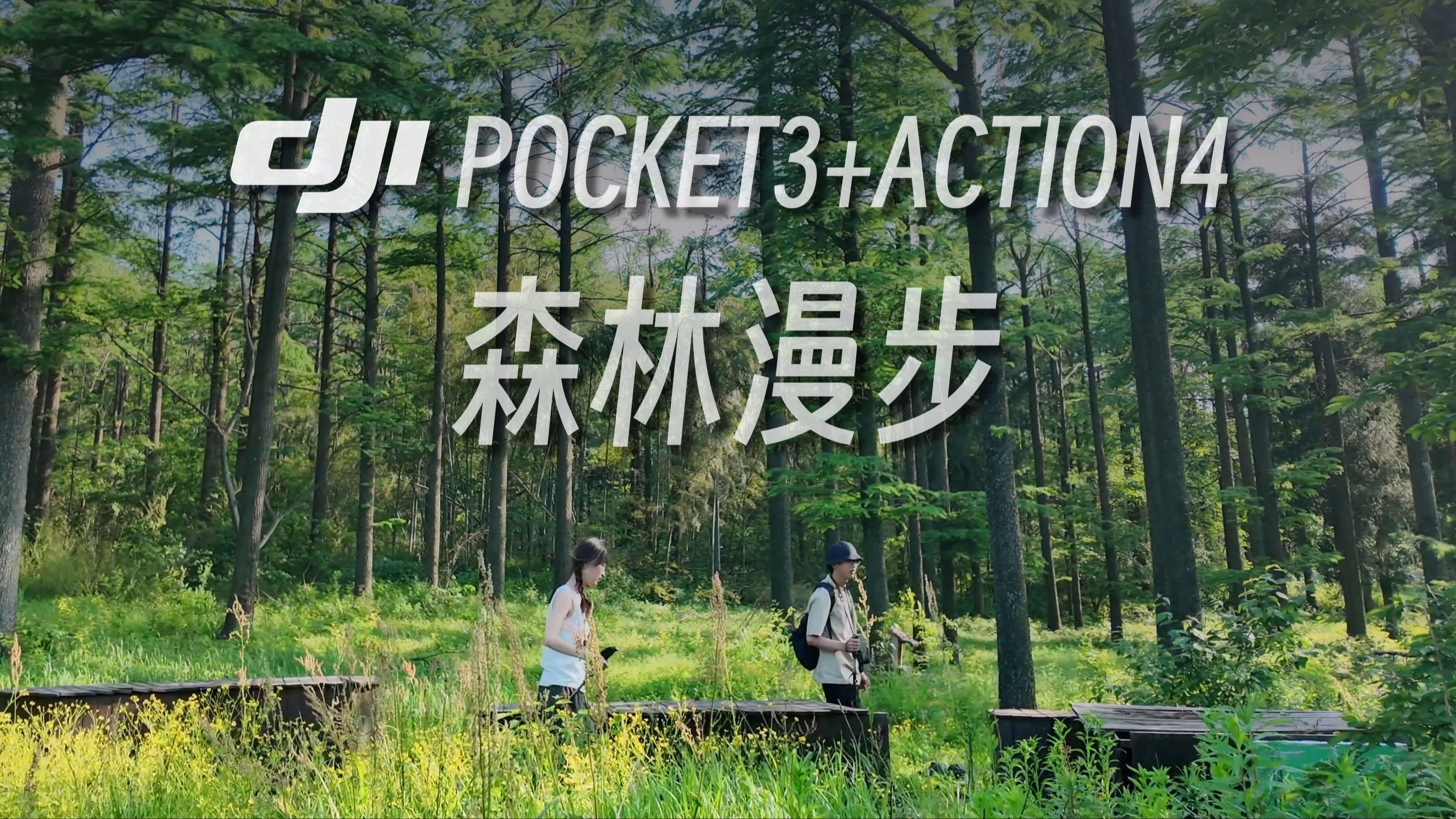 在夏天来临前漫步森林丨大疆Pocket3+Action4丨四明山十字裤小环线徒步哔哩哔哩bilibili