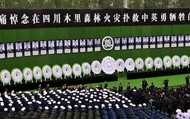 沉痛悼念2019年3月30日四川省凉山州木里县境内森林火灾救火牺牲的