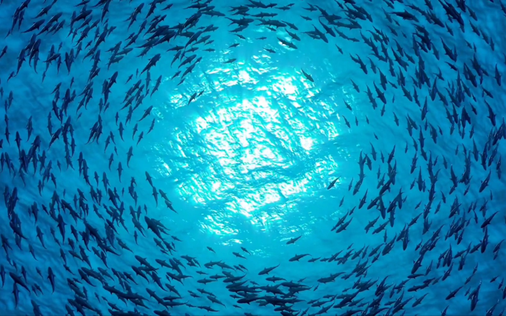 海洋丁达尔效应图片图片