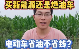 Download Video: 该买新能源车还是燃油车，新能源车省油不省钱？秦不如宝来省钱？