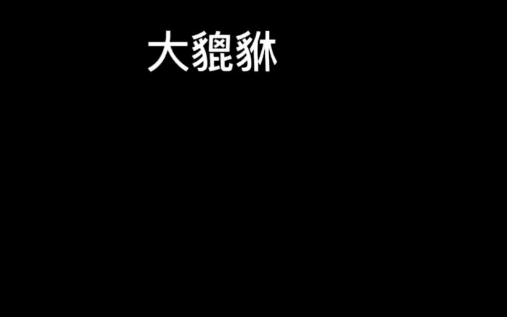 南阳首安防爆大貔貅来了,快接住好运吧南阳首安防爆小屋,让您售前售后无忧哔哩哔哩bilibili