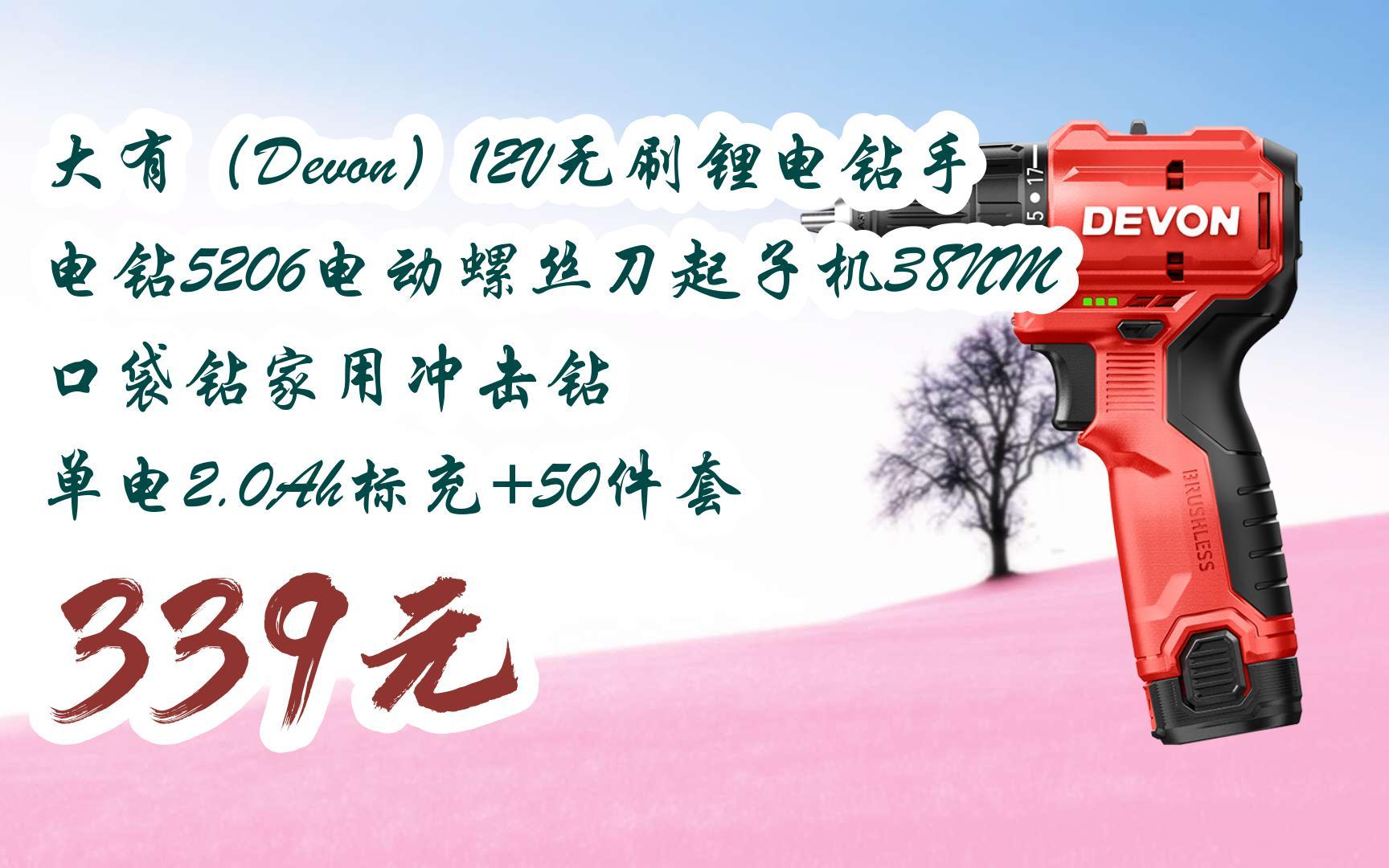 【双十一红包l请扫码】:大有(devon)12v无刷锂电钻手电钻5206电动螺丝