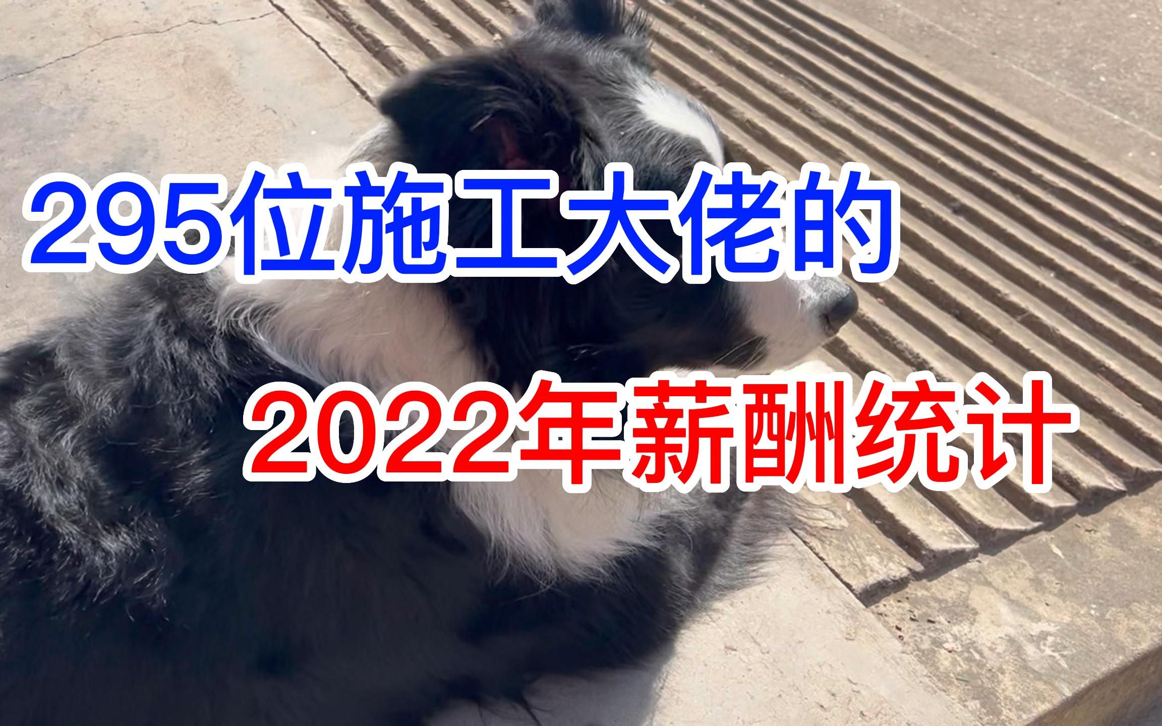 295位施工大佬的2022年薪酬统计哔哩哔哩bilibili