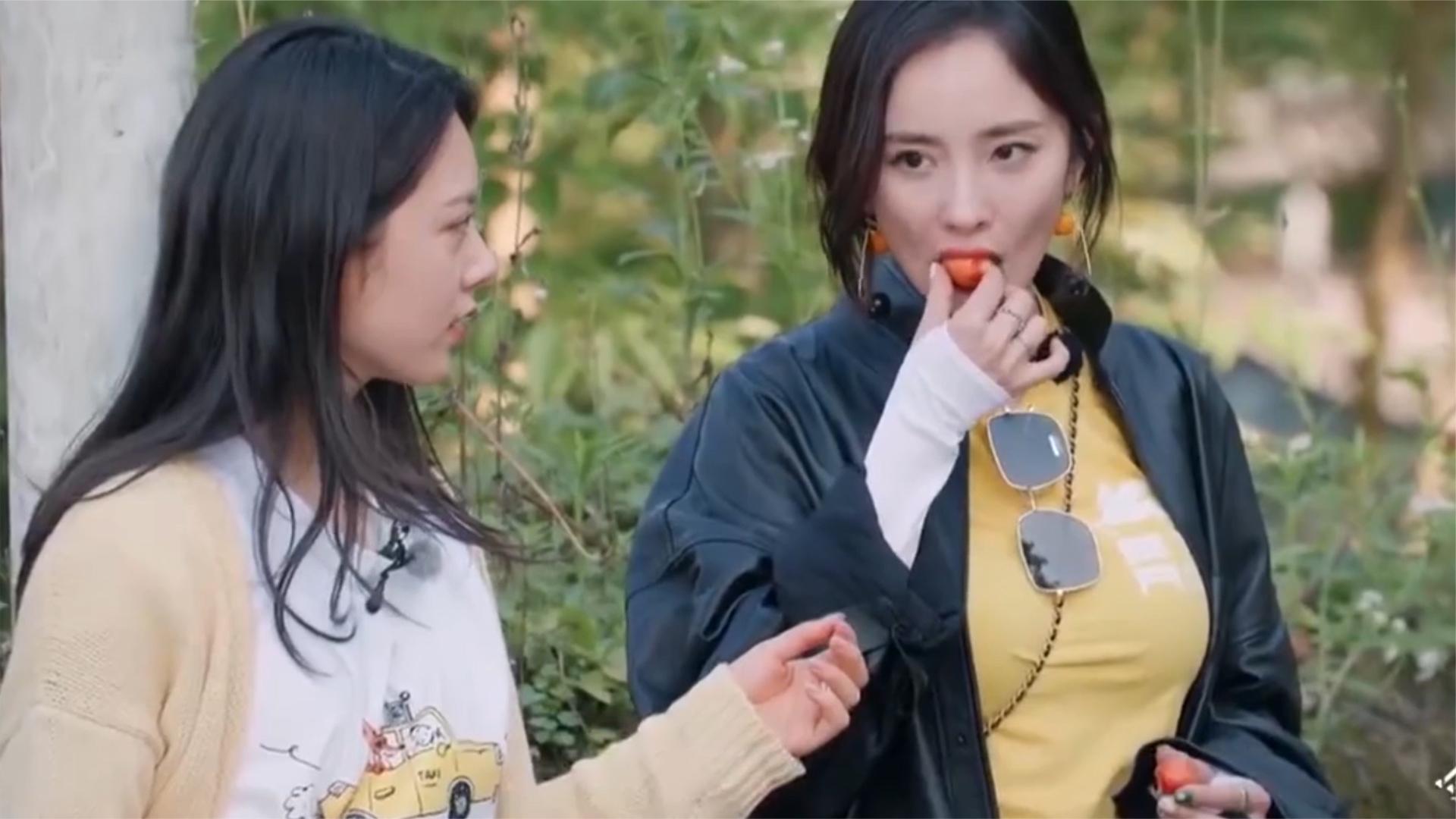 有种青春靓丽叫赵今麦!与杨幂同框后,相差16岁的姐妹花太吸睛了