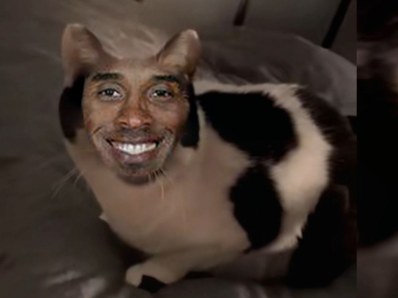 有个简单的问题 什么是肘击