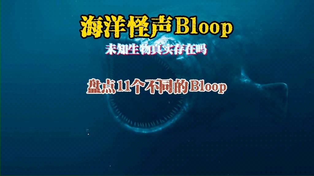 [图]海洋怪声：Bloop，未知生物真的存在吗？盘点11个形态不同的布鲁