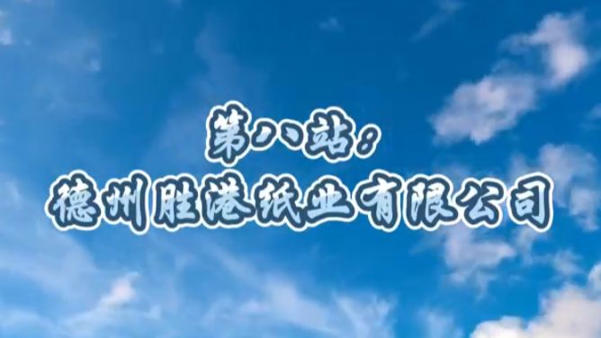 生活用纸行业调研考察山东行——第八站:德州胜港纸业有限公司哔哩哔哩bilibili