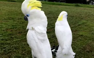 葵花巴丹 搜索结果 哔哩哔哩 Bilibili