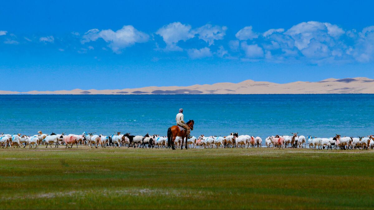 青海湖金沙湾,沙海与蔚蓝,沙丘背后的蔚蓝湖水,景色奇幻优美绝伦