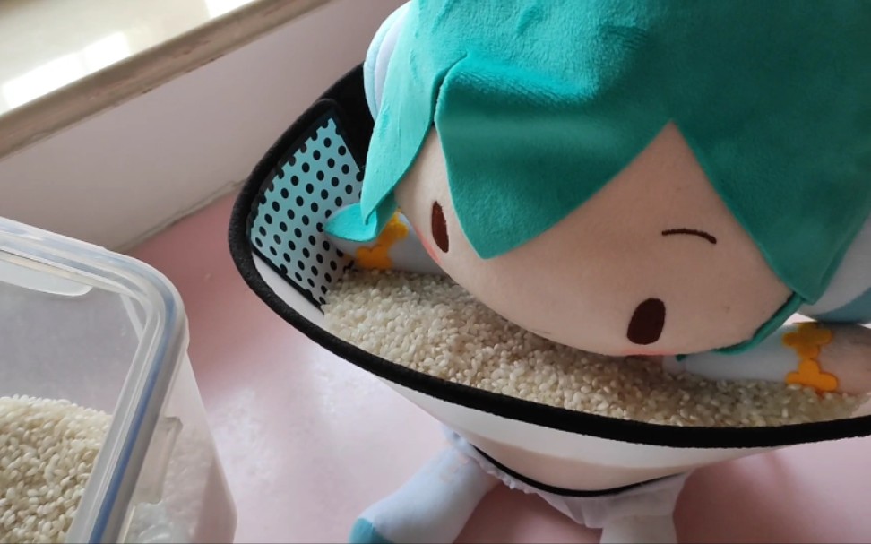 给fufu买了吃大米神器