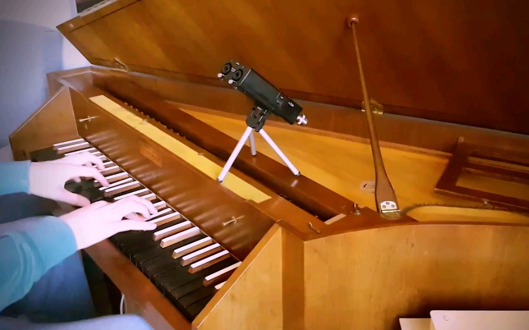 羽管键琴海绵宝宝主题曲