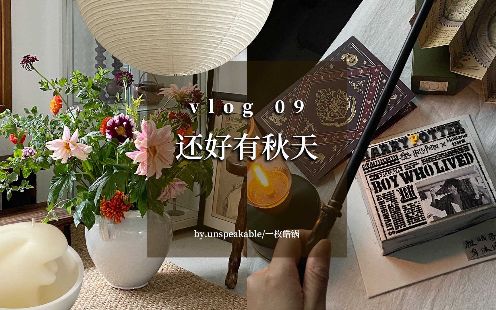 [图]日常VLOG 09. 哈利波特魔法生日蛋糕｜拆生日礼物｜书房野口勇安装｜古董家具探店