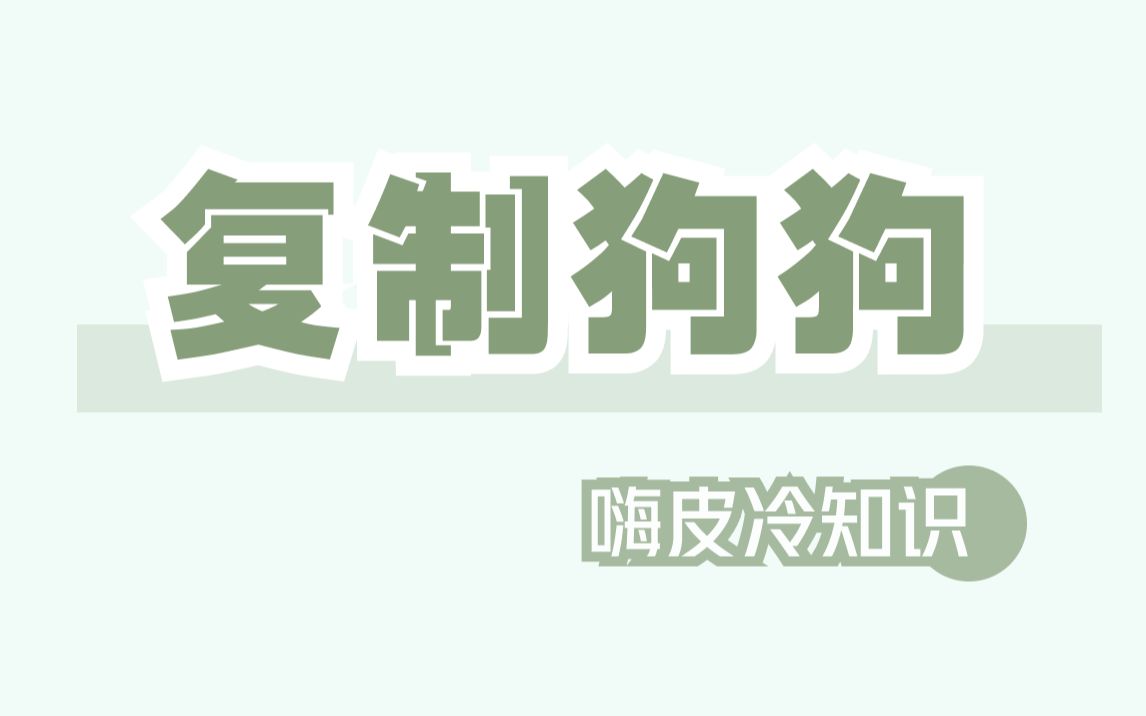 10万美元,让死去的宠物狗克隆“复活”哔哩哔哩bilibili