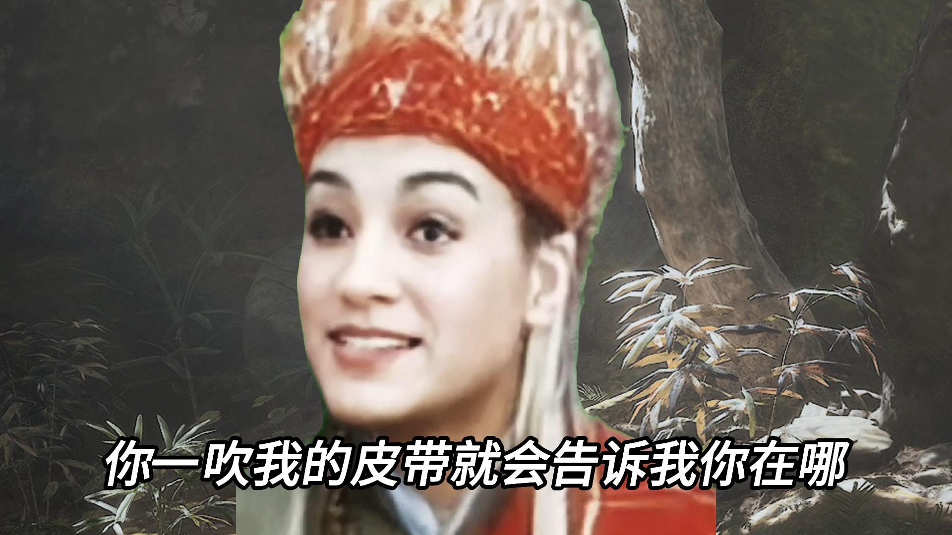 金 禅 子 你 没 马