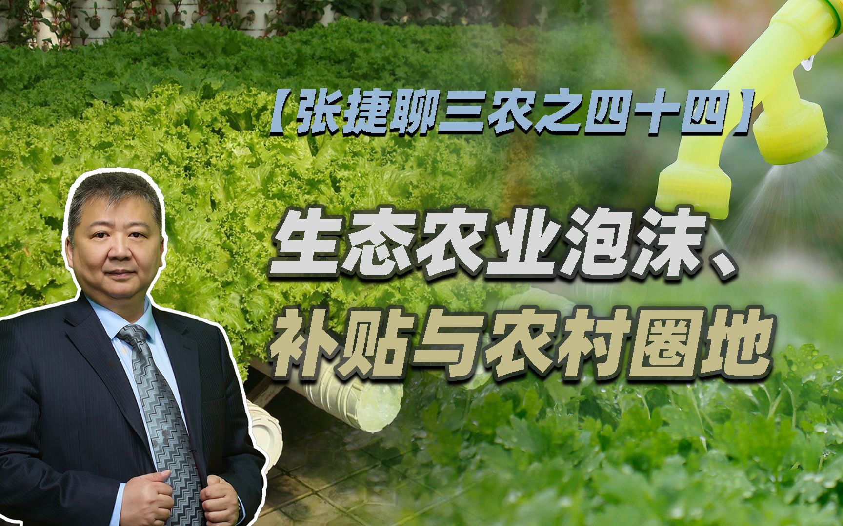 【张捷聊三农之四十四】生态农业泡沫、补贴与农村圈地哔哩哔哩bilibili