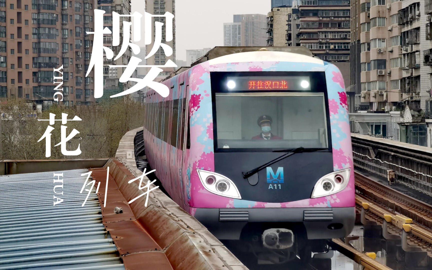 开往春天的列车 武汉地铁樱花列车