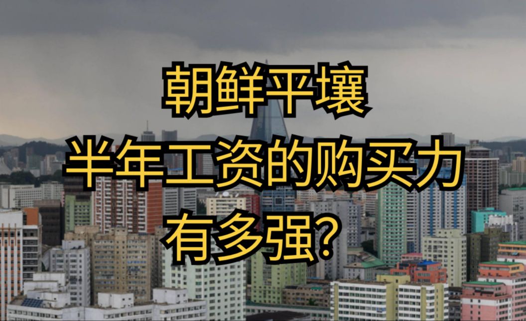 朝鲜人6个月工资,在首都平壤的购买力到底有多强?哔哩哔哩bilibili