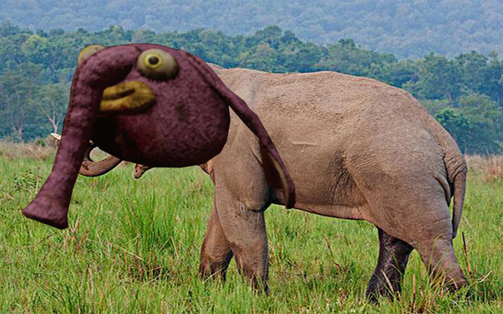 纪念即将被削弱的大象【黎明杀机 小丑】_哔哩哔哩 (゜-゜)つロ 干杯