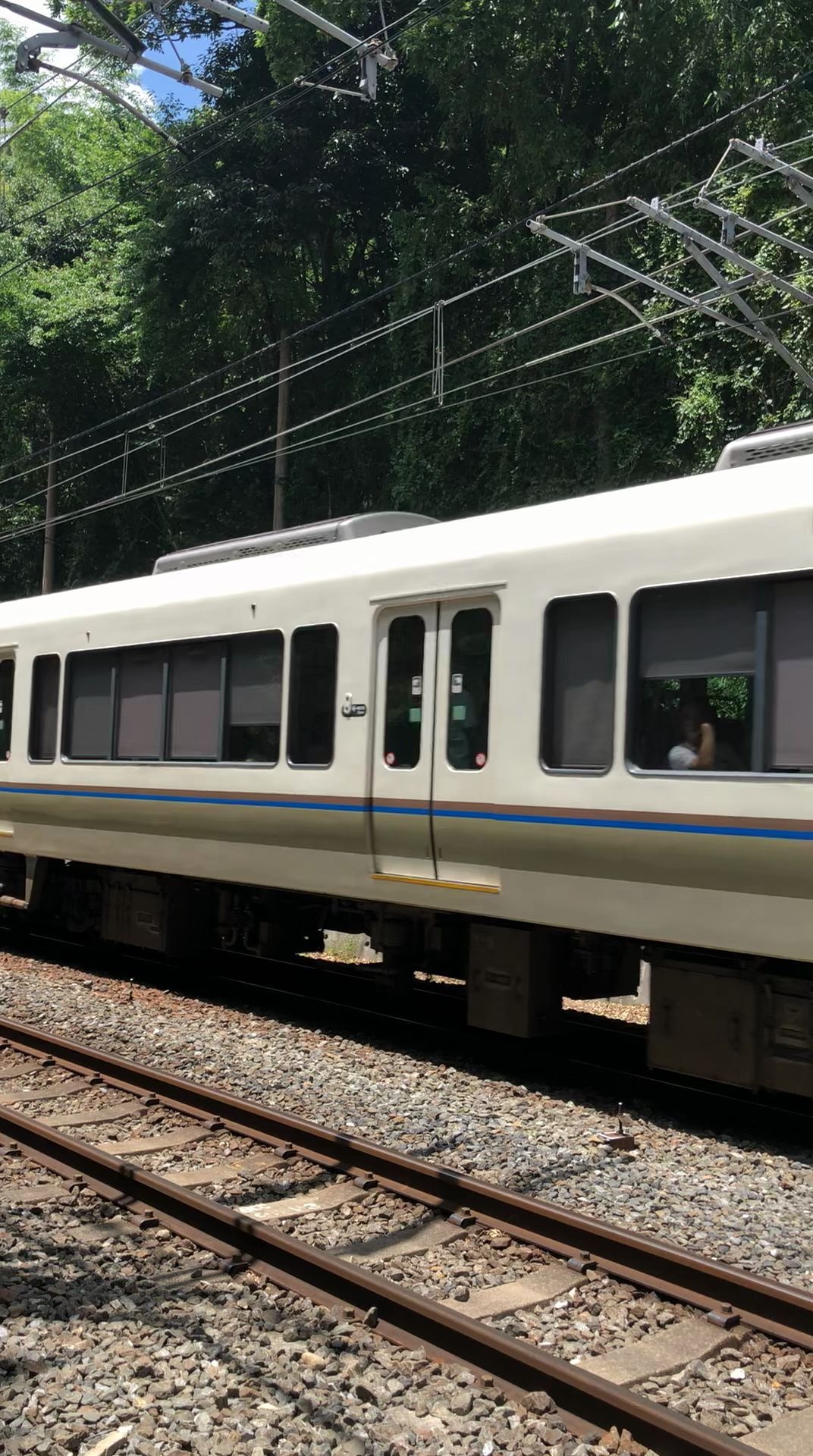 221系快速通过京都岚山道口