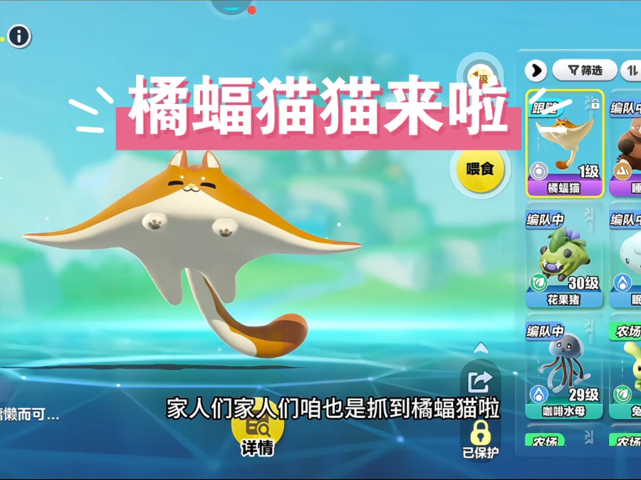 蛋仔神奇艾比-橘蝠猫你拥有了吗