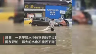 Скачать видео: 再大的水也不能丢下狗子！