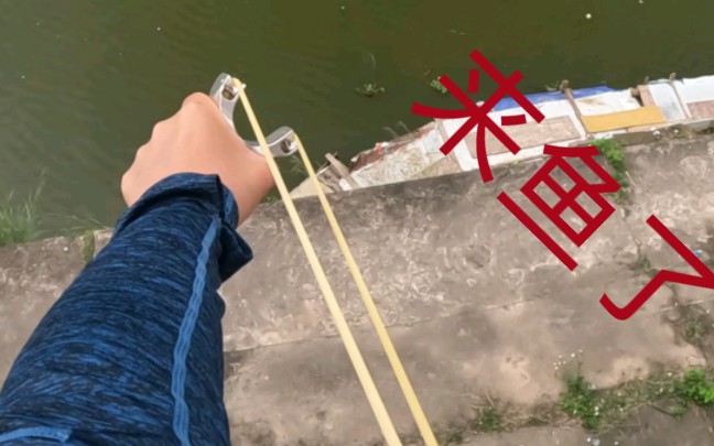 【袁桑弹弓】我太强了没办法 弹弓射鱼就是这样简单哈哈哈666