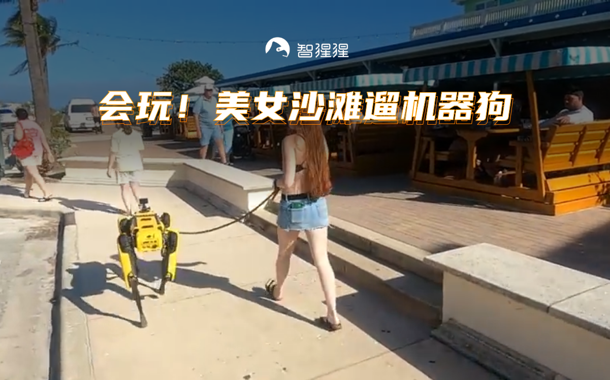 会玩!美女沙滩遛机器狗