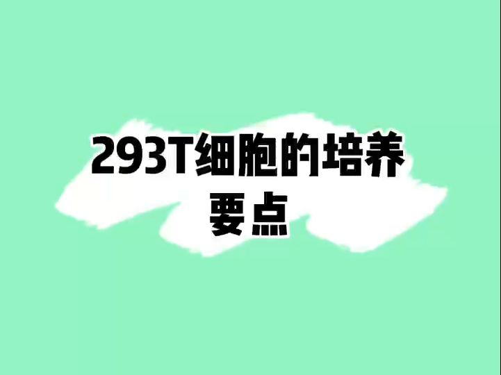 293T细胞的培养要点#细胞培养哔哩哔哩bilibili