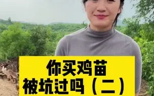 Descargar video: 【大学生返乡】你买鸡苗被坑过吗？（二）