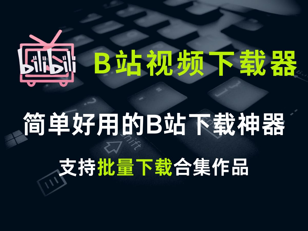 B站视频下载器 简单好用的B站下载神器 支持批量下载合集作品哔哩哔哩bilibili