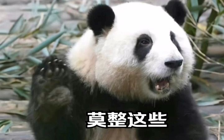 最全花花表情包,太可爱啦!