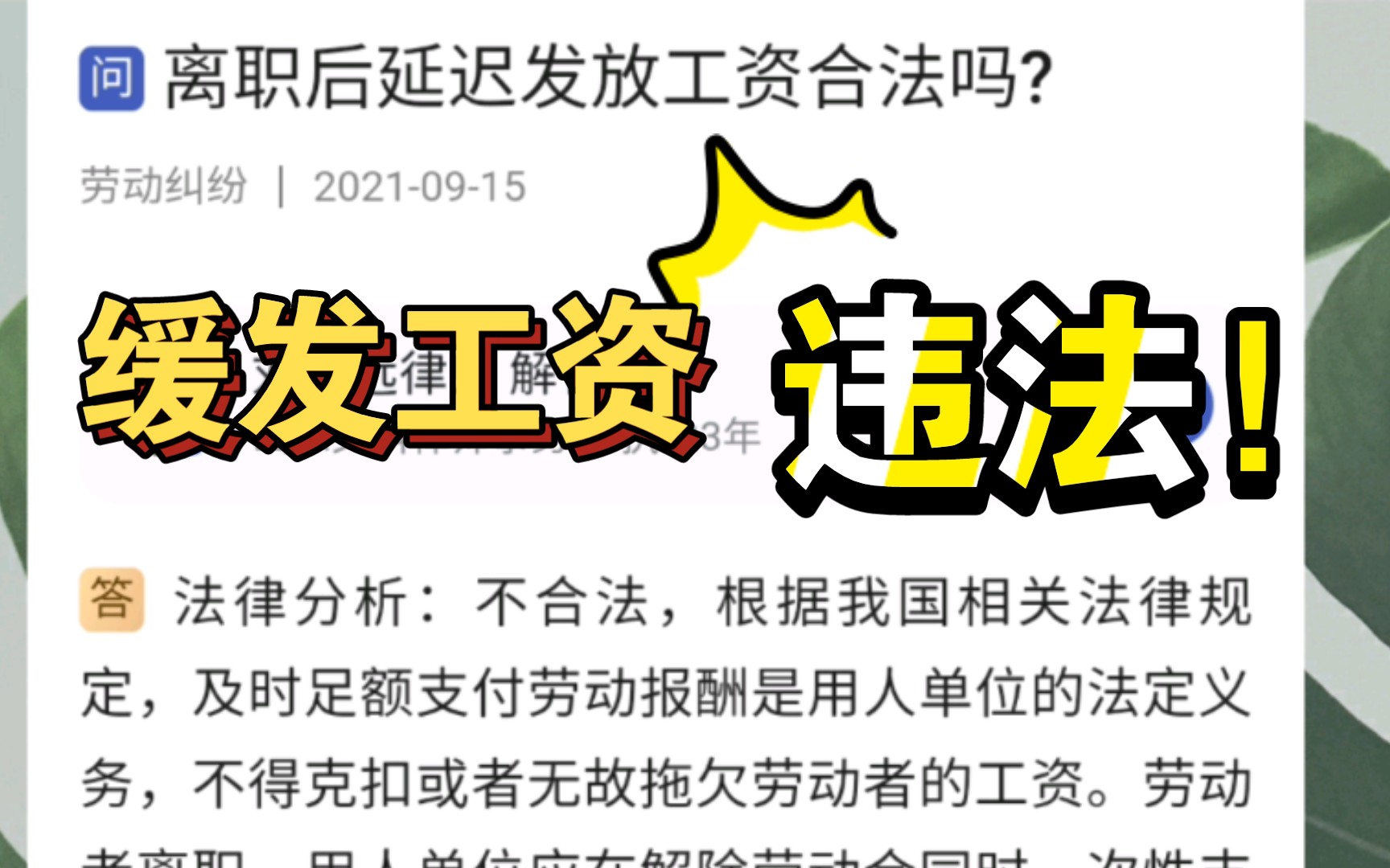 离职延迟发工资???违法!哔哩哔哩bilibili