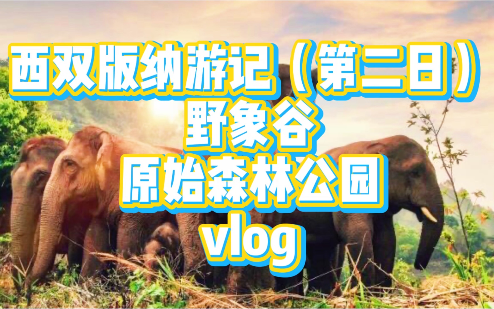 [图]西双版纳游记vlog（第二日），游览野象谷、原始森林公园，看大象表演、孔雀放飞，吃菌汤火锅