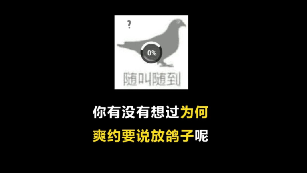 为何爽约要说放鸽子呢?哔哩哔哩bilibili