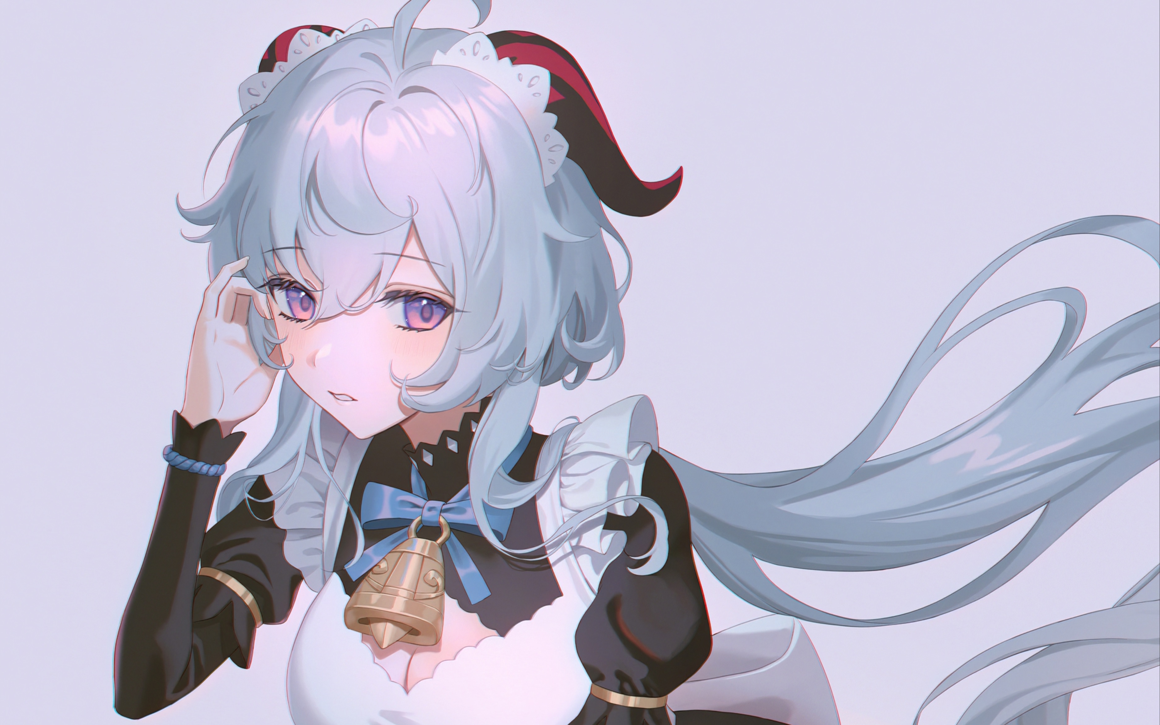 祸害提米鸽子的日常