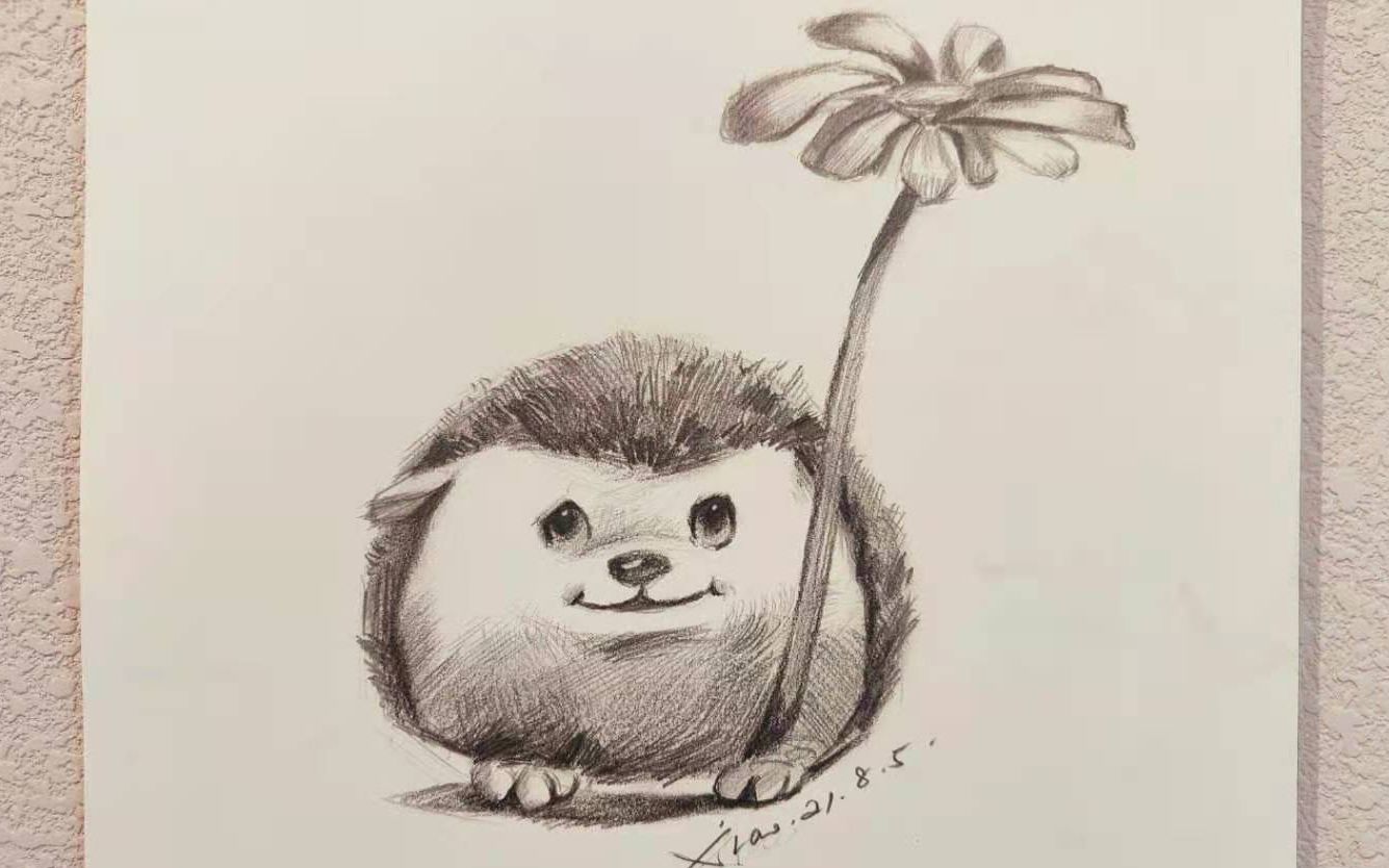 [0基础素描教程] 举花花的小刺猬