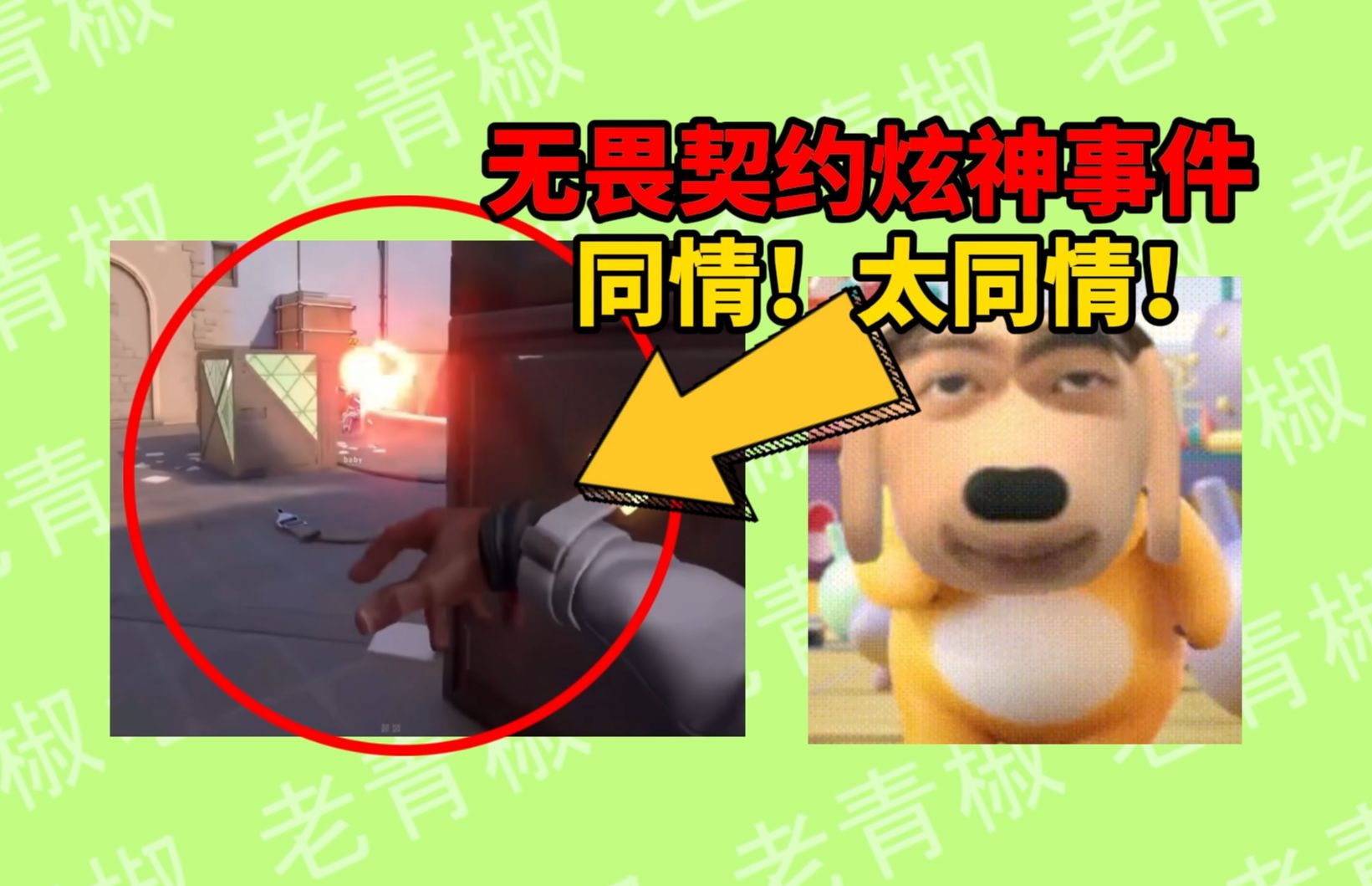作为go学长对瓦学弟的看法是。。。-老青椒-老青椒-哔哩哔哩视频