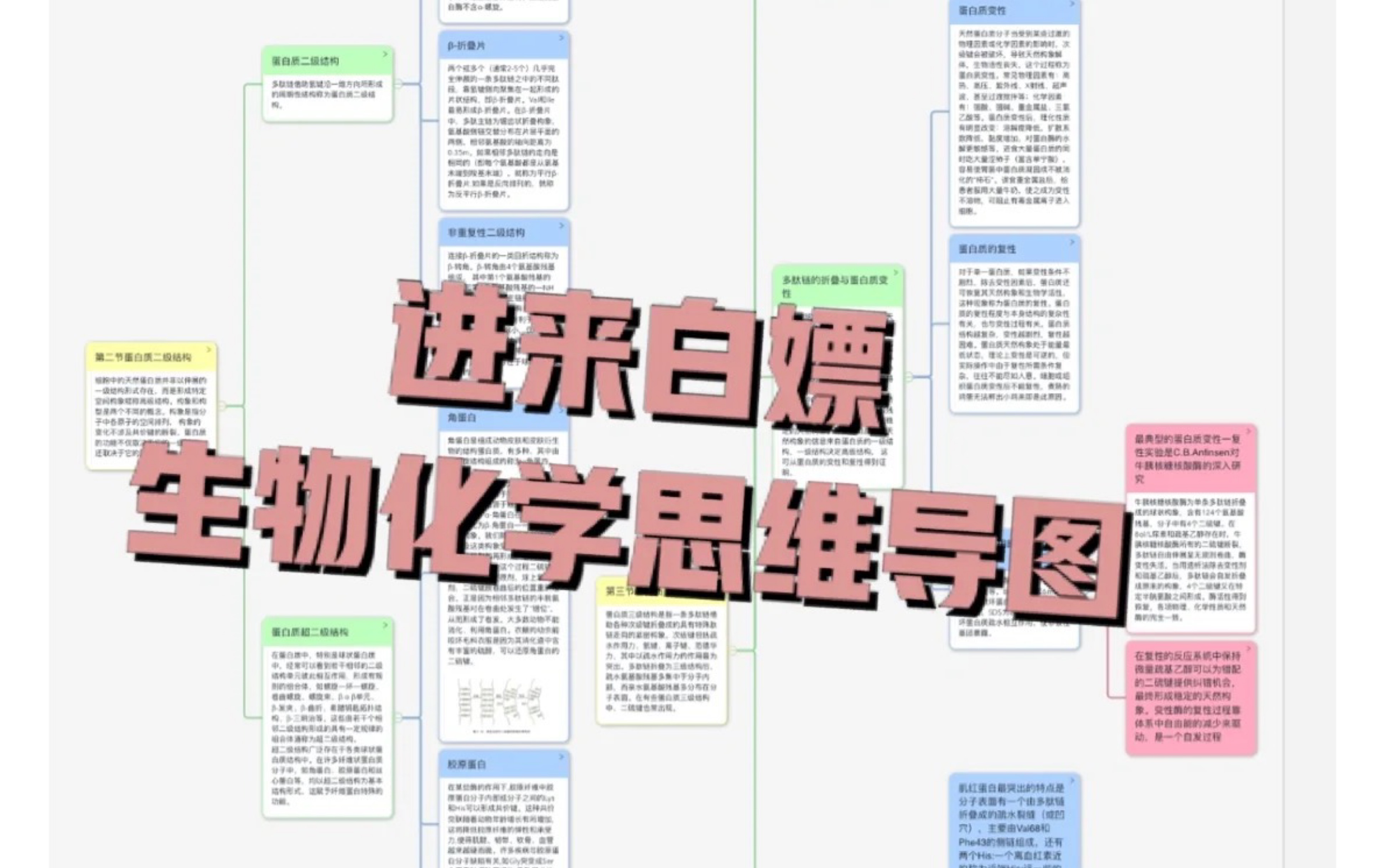 [图]植物生理学and生物化学思维导图