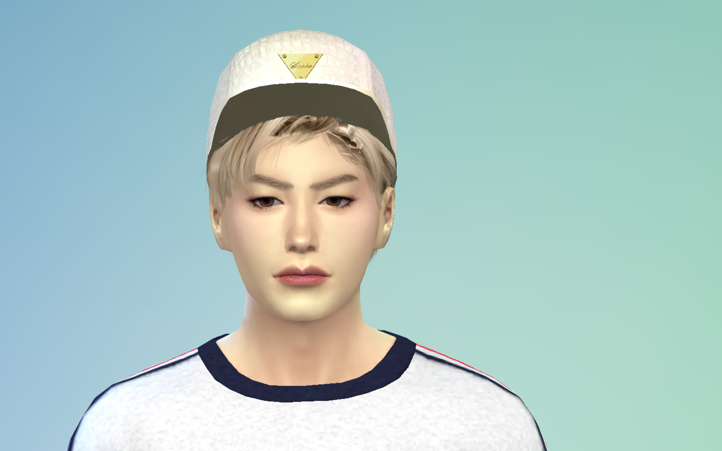 模拟人生4捏脸捏了一个韩系小哥哥