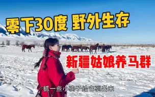 Скачать видео: 新疆姑娘雪山下放养2个马群，零下30度吃雪生存，本地马啥特征？